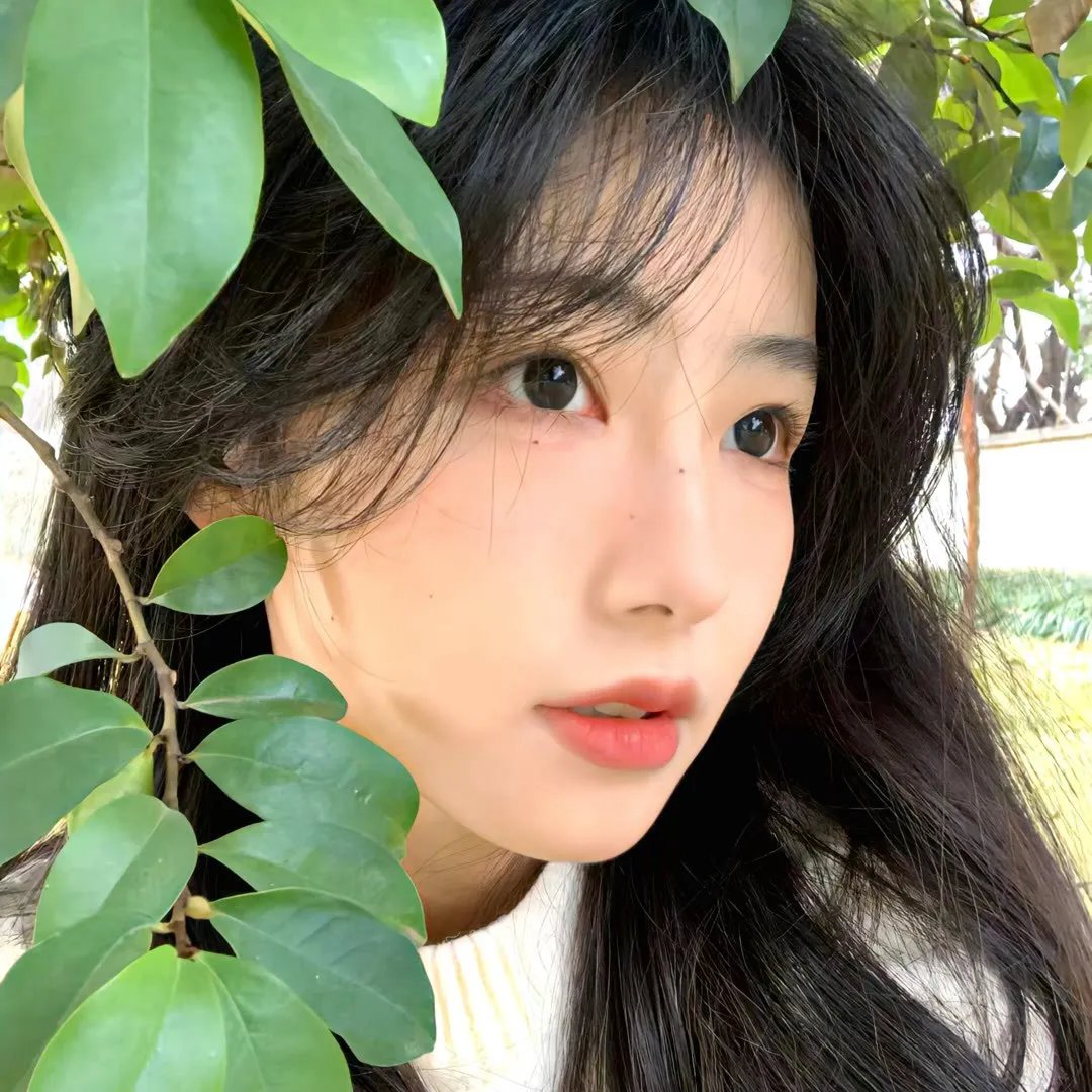 副总统第五季